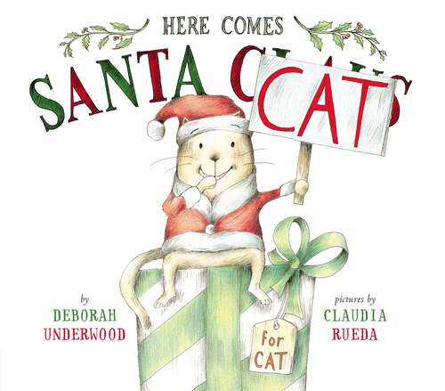 Book cover of Here Comes Santa Cat