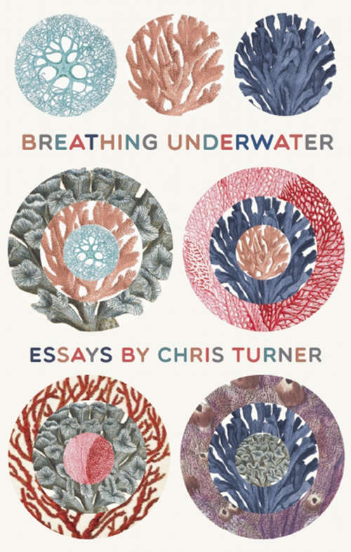 Book cover of How to Breathe Underwater