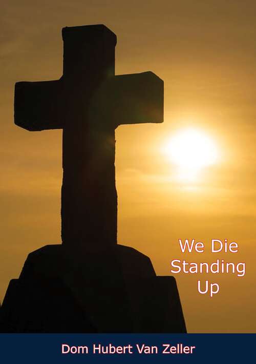 Book cover of We Die Standing Up