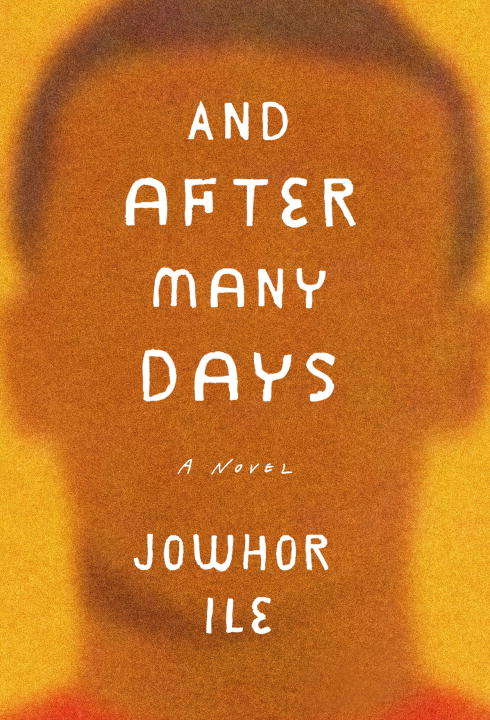 Book cover of And After Many Days