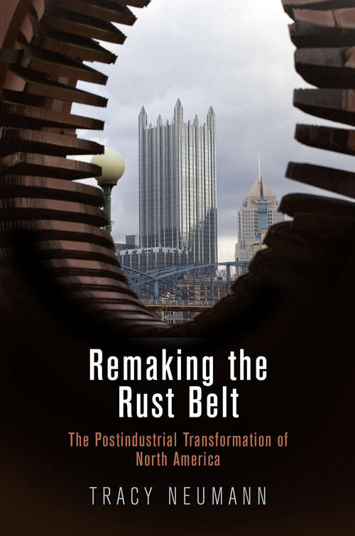 Book cover of Remaking the Rust Belt: The Postindustrial Transformation of North America (American Business, Politics, and Society)