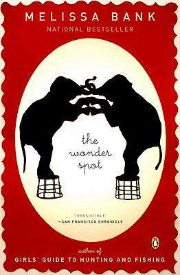 Book cover of The Wonder Spot