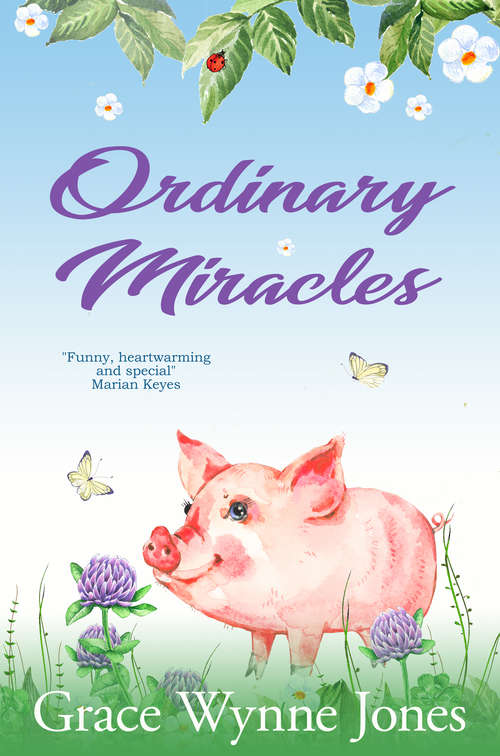 Book cover of Ordinary Miracles