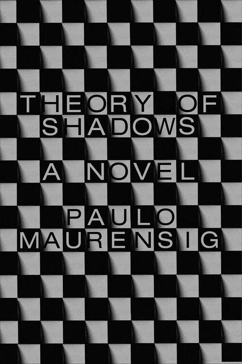 Book cover of Theory of Shadows: A Novel