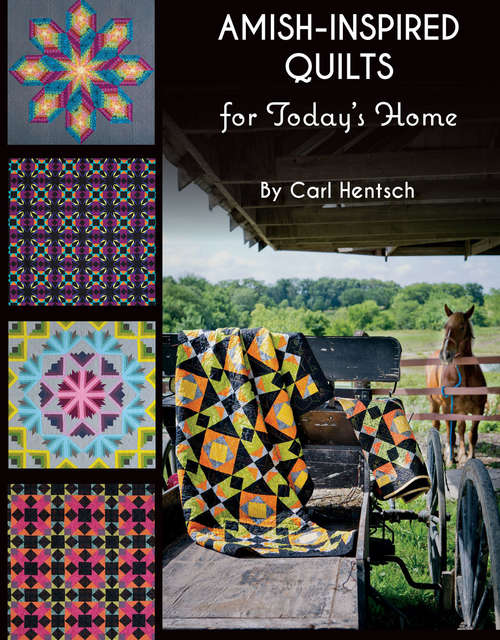 Book cover of Amish-Inspired Quilts for Today's Home: 10 Brilliant Patchwork Quilts