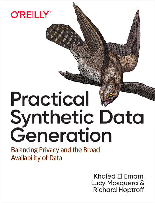 Book cover of Practical Synthetic Data Generation: Balancing Privacy and the Broad Availability of Data (1)