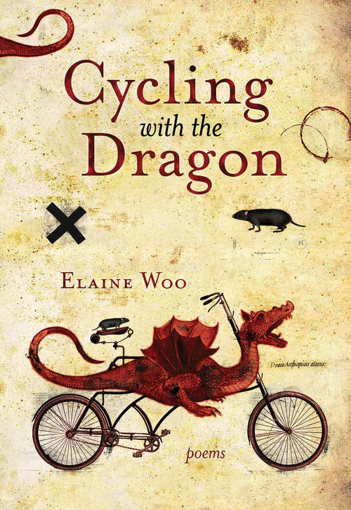 Book cover of Cycling with the Dragon