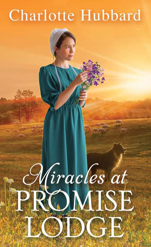 Book cover of Miracles at Promise Lodge (Promise Lodge)