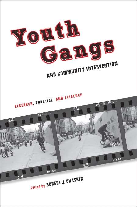 Book cover of Youth Gangs and Community Intervention: Research, Practice, and Evidence