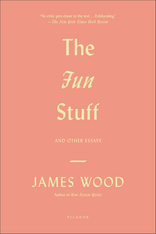 Book cover of The Fun Stuff: And Other Essays