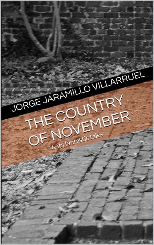 Book cover of The Country of November and Its Fantastic Tales: and Its Fantastic Tales
