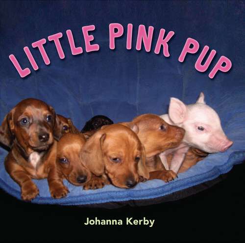 Book cover of Little Pink Pup