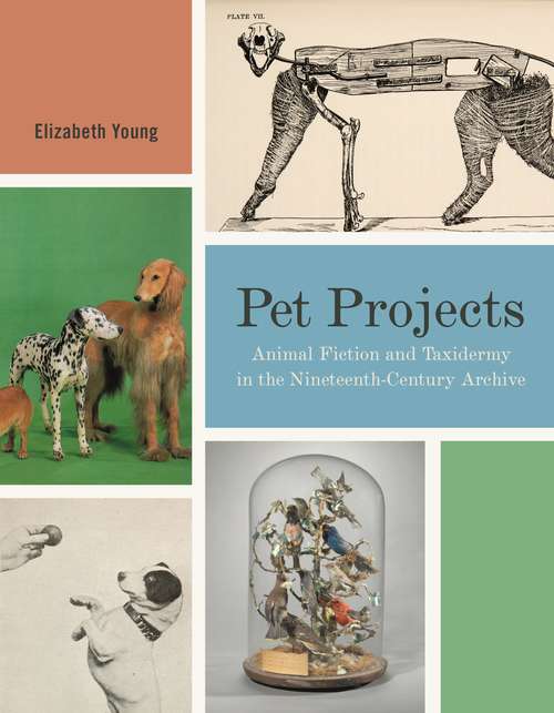 Book cover of Pet Projects: Animal Fiction and Taxidermy in the Nineteenth-Century Archive (Animalibus)
