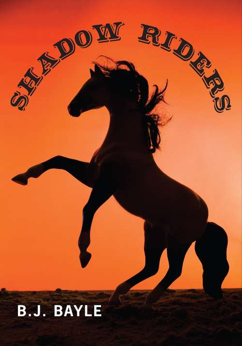 Book cover of Shadow Riders