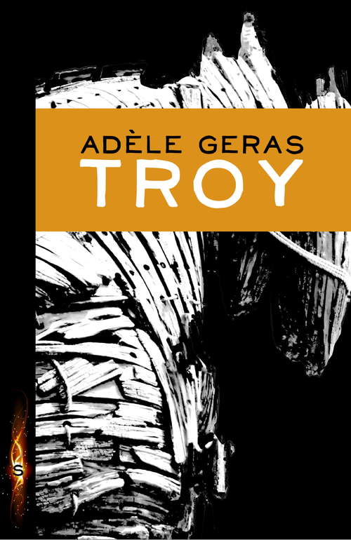 Book cover of Troy