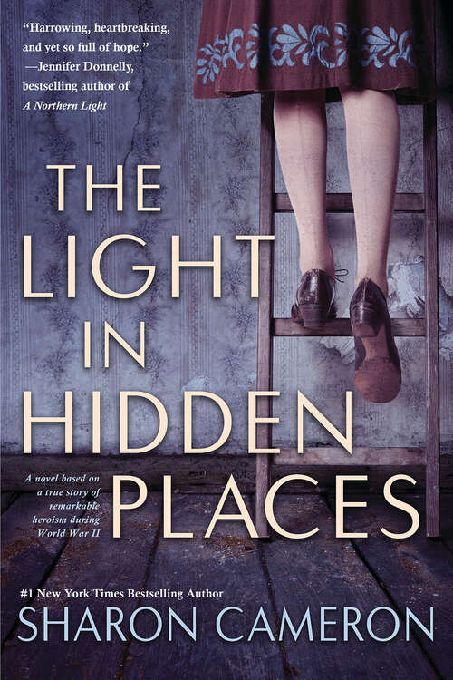 Book cover of The Light in Hidden Places