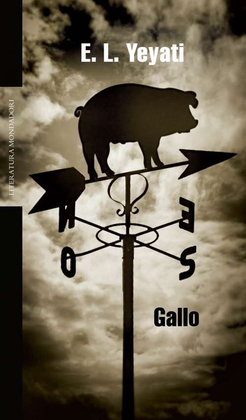 Book cover of Gallo