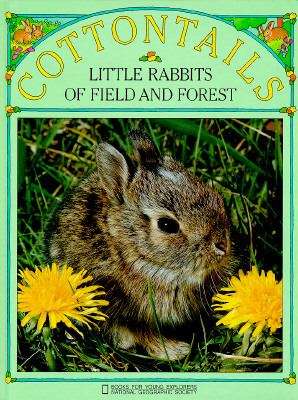 Book cover of Cottontails