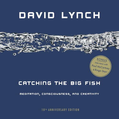 Book cover of Catching the Big Fish