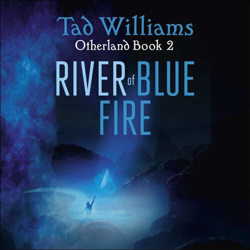 Book cover of River of Blue Fire: Otherland Book 2 (Otherland #21)