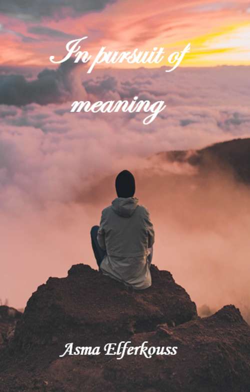 Book cover of In Pursuit of Meaning