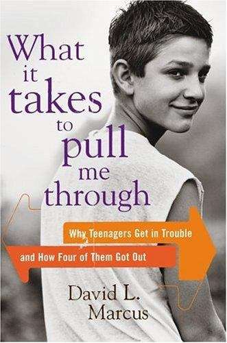Book cover of What it Takes to Pull Me Through