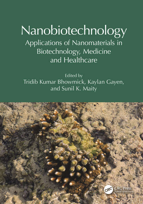 Book cover of Nanobiotechnology: Applications of Nanomaterials in Biotechnology, Medicine and Healthcare