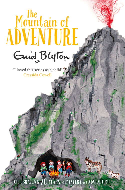 Book cover of The Mountain of Adventure (The Adventure Series #4)