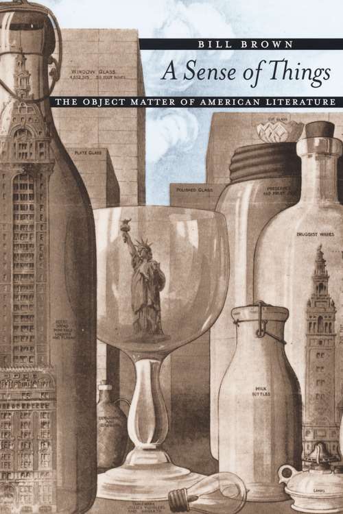 Book cover of A Sense of Things: The Object Matter of American Literature