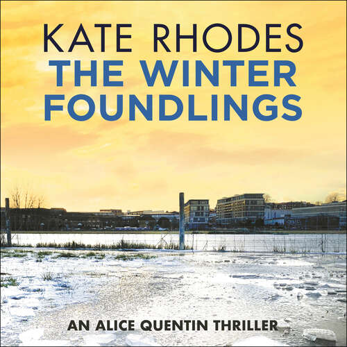 Book cover of The Winter Foundlings: Alice Quentin Book 3 (Alice Quentin)