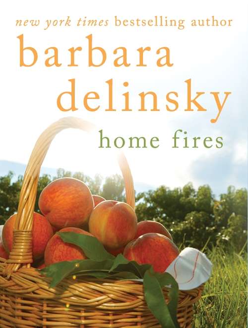 Book cover of Home Fires: He Was The Object Of Her Desire And Now Deanna Risks Losing Everything For Him