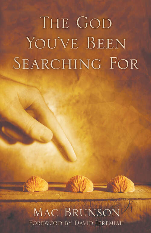 Book cover of The God You've Been Searching For (New Edition)