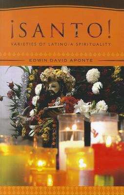 Book cover of Santo!: Varieties of Latino/a Spirituality