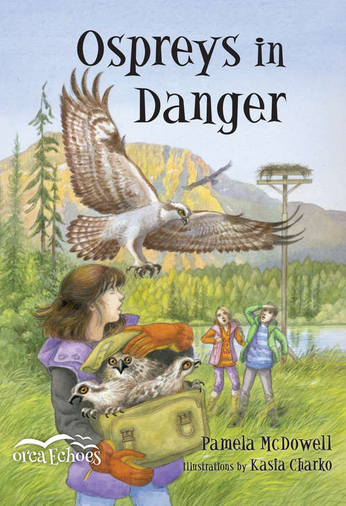 Book cover of Ospreys in Danger (Orca Echoes)