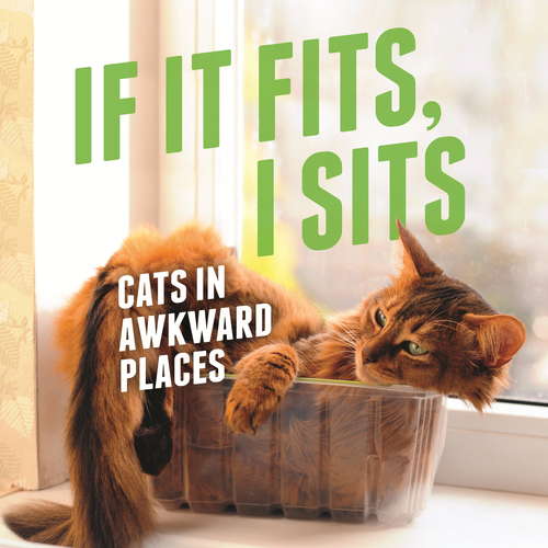 Book cover of If It Fits, I Sits: Cats in Awkward Places