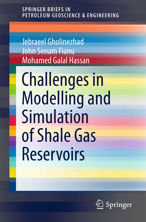 Book cover of Challenges in Modelling and Simulation of Shale Gas Reservoirs (Springerbriefs In Petroleum Geoscience And Engineering Ser.)