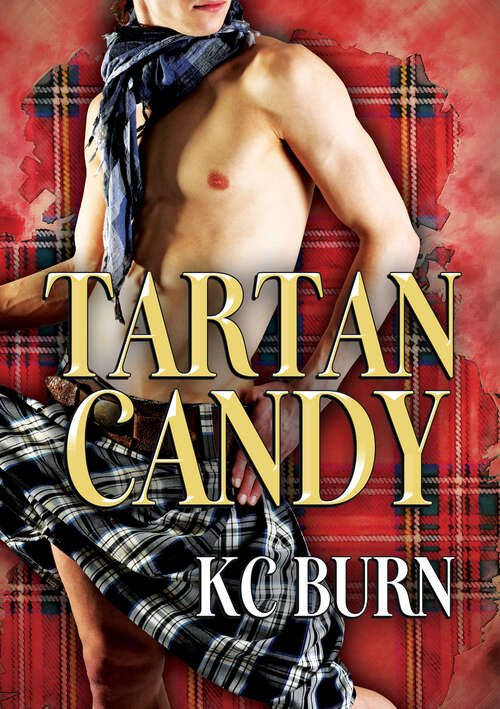 Book cover of Tartan Candy (Histoires De Tissus Ser.)