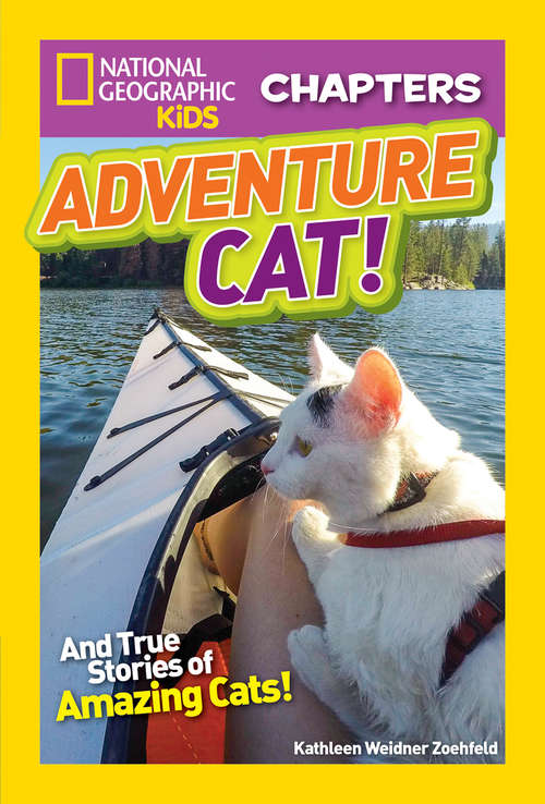 Book cover of Adventure Cat! (National Geographic Kids Chapters)