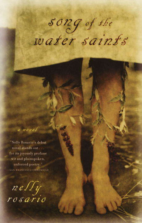 Book cover of Song of the Water Saints