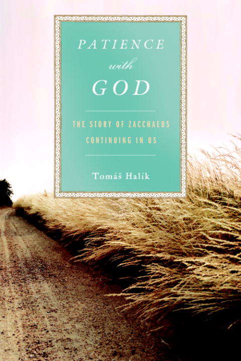 Book cover of Patience with God