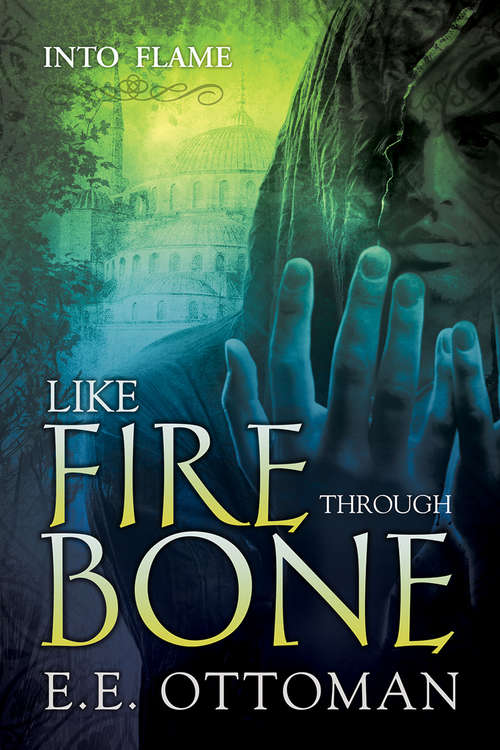 Book cover of Like Fire Through Bone