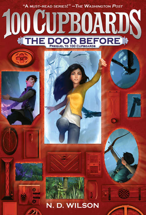 Book cover of The Door Before (The 100 Cupboards)
