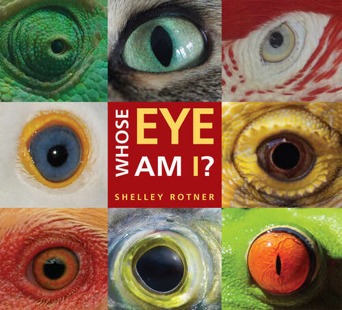 Book cover of Whose Eye Am I?