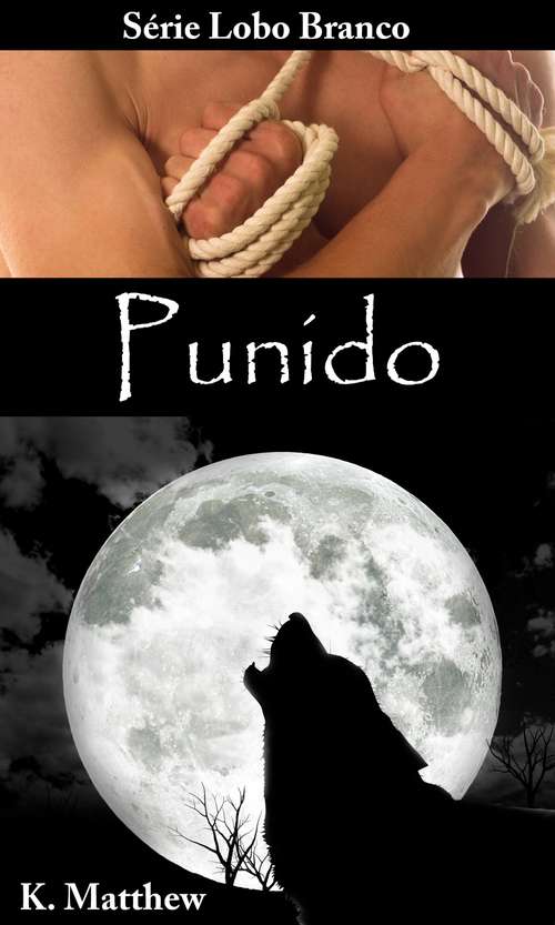 Book cover of Punido