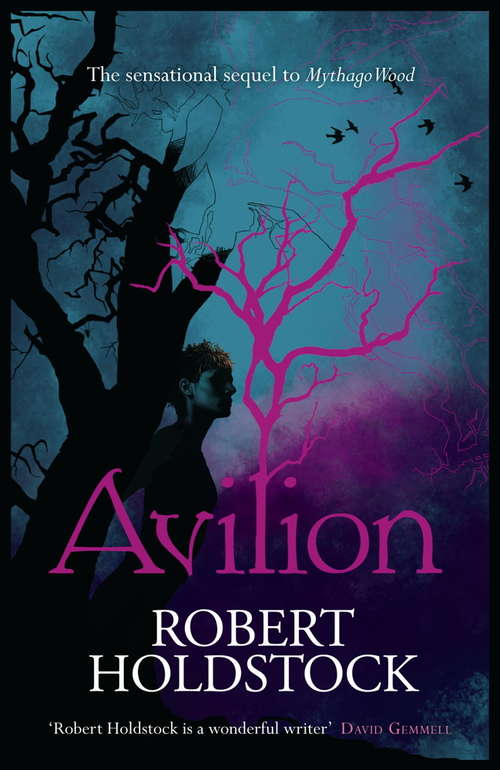 Book cover of Avilion