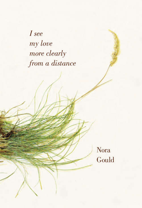 Book cover of I see my love more clearly from a distance