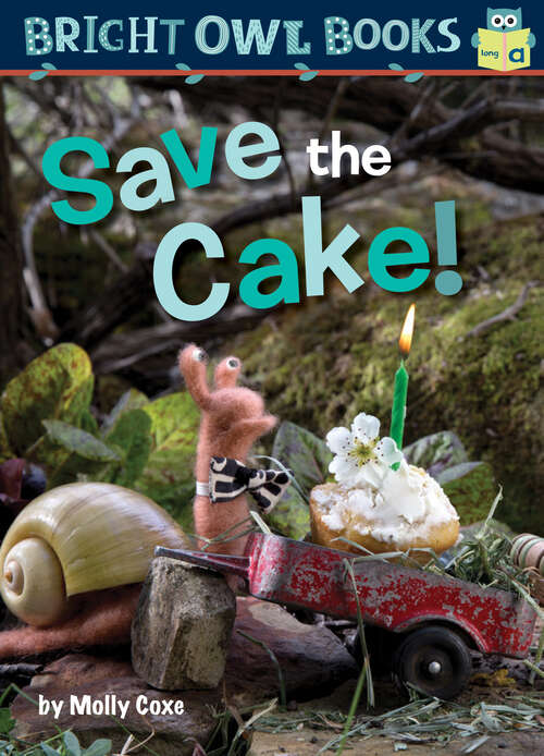 Book cover of Save the Cake! (Bright Owl Books)