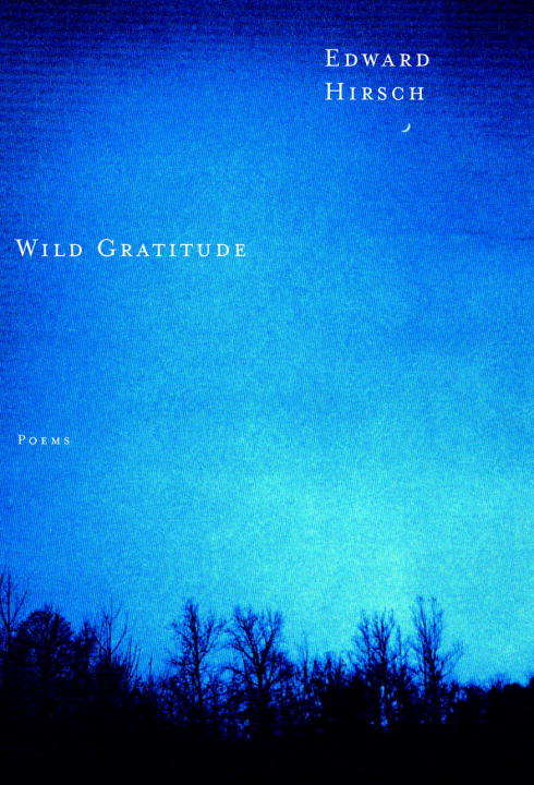 Book cover of Wild Gratitude