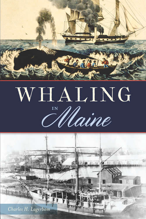 Book cover of Whaling in Maine