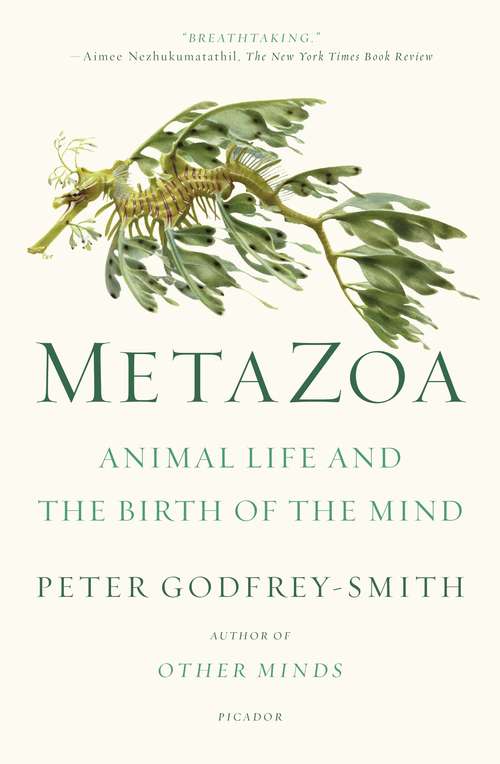 Book cover of Metazoa: Animal Life and the Birth of the Mind